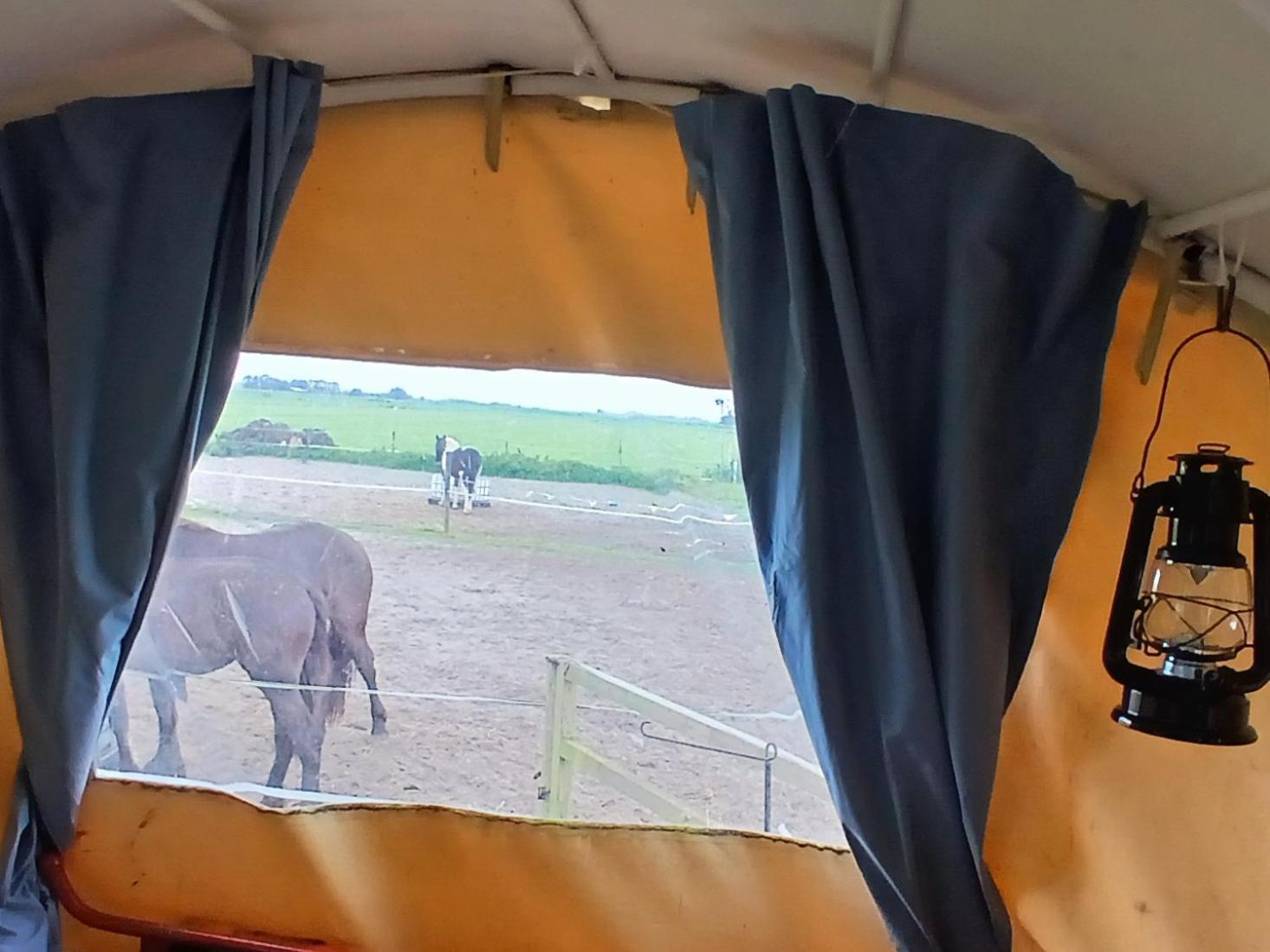 De Huifkar, Trekkershut Bij Sneek Otel Hommerts Dış mekan fotoğraf
